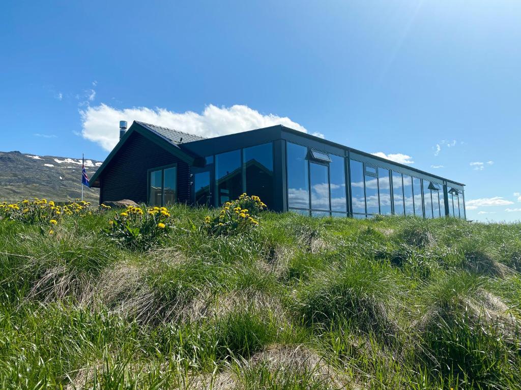 HofstaðirHofsstadir - Country Hotel的草山顶上的黑房子