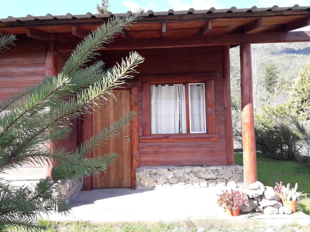 普埃洛湖El Jarillal Chalet de Montaña a pasos del lago的小屋设有木门和一棵树