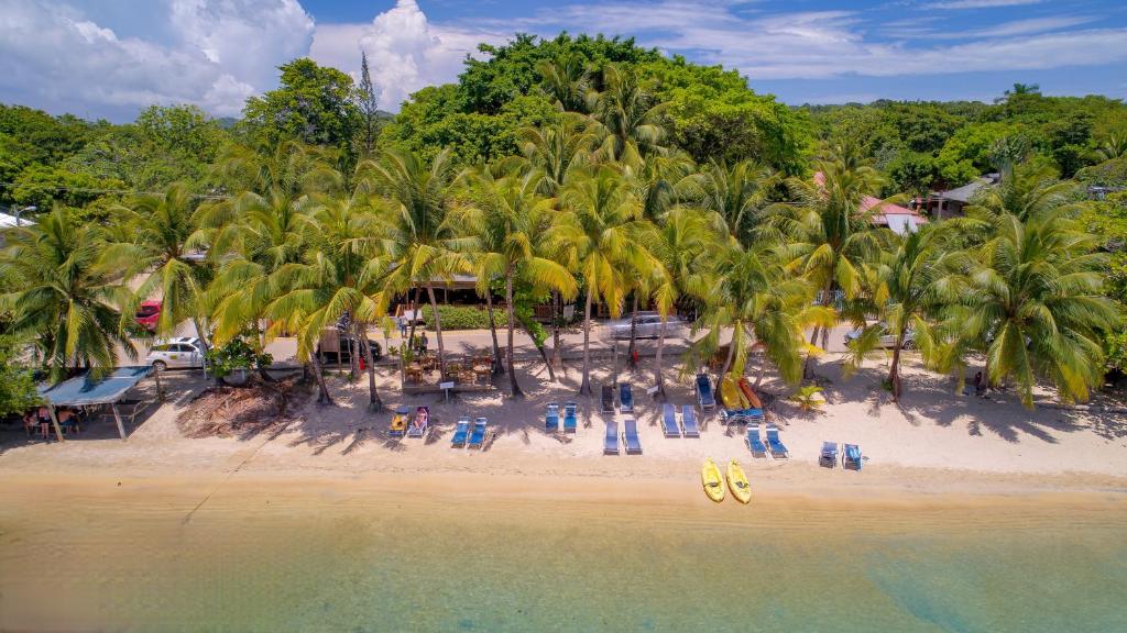 罗阿坦Hotel Posada Arco Iris的棕榈树海滩的空中景致