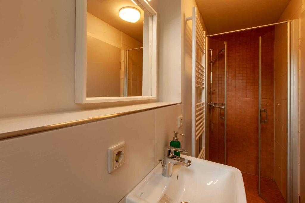 霍恩斯泰因Brand-Baude的一间带水槽、镜子和淋浴的浴室