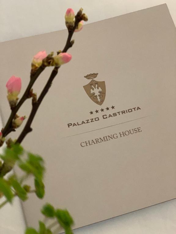 阿莱齐奥Palazzo Castriota的一张纸片,上面有粉红色花枝