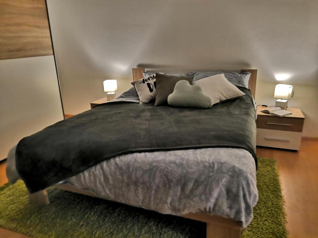 马里博尔Apartmaji Sofia的一间卧室配有一张大床和枕头