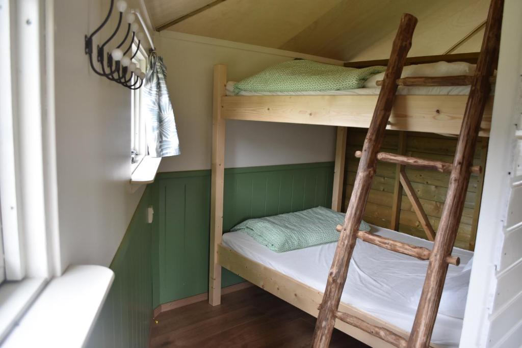 Kronenberg't Peelhuisje的配有梯子的小客房内的双层床