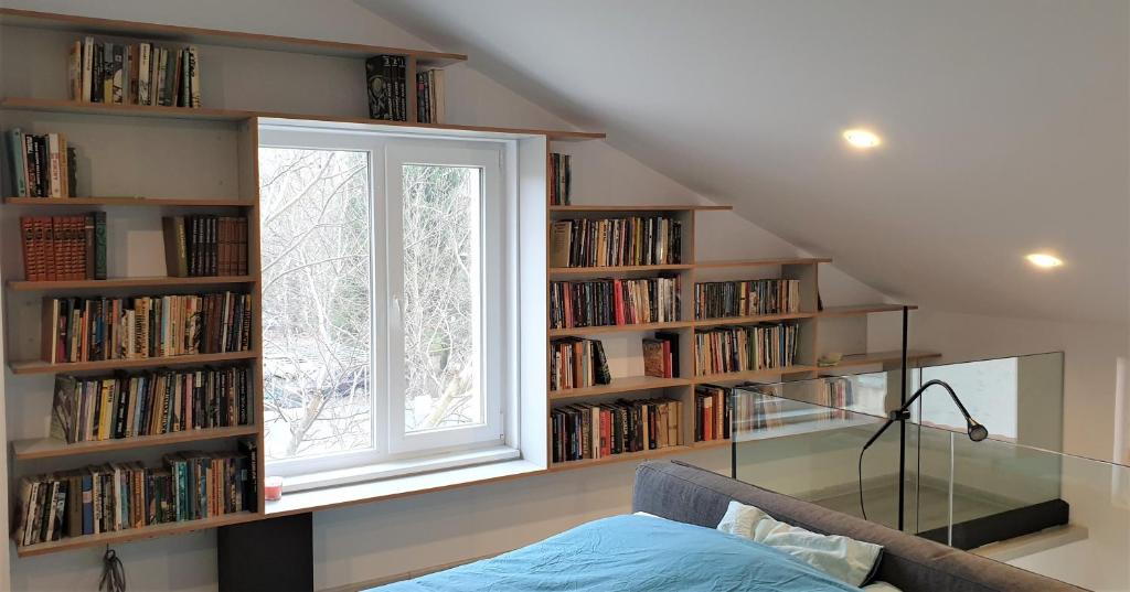 大特尔诺沃Cattleya's Loft的一间设有窗户和书架的客房,书架上摆放着书籍