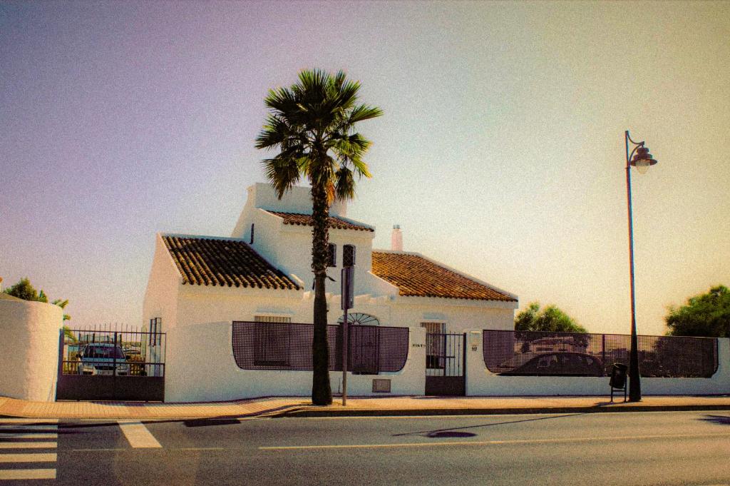 厄尔-汝姆披多El carajo的一座白色的建筑,前面有棕榈树