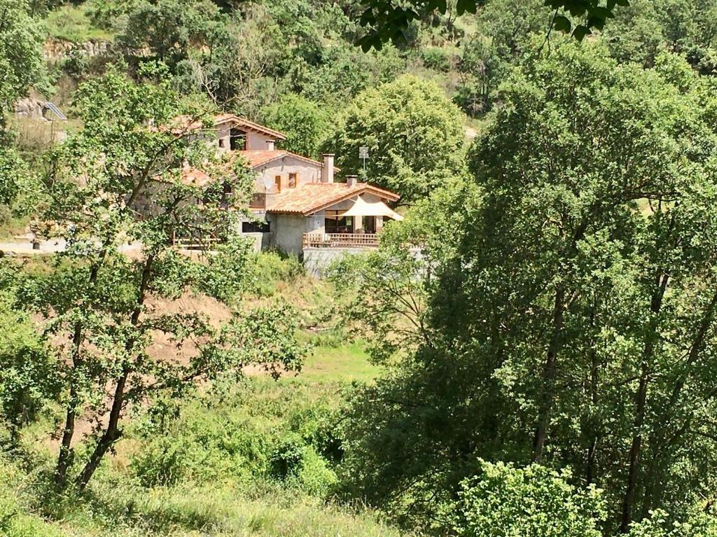 Sant Pere de TorellóCan Poca Roba的树木林立的田野中的房子