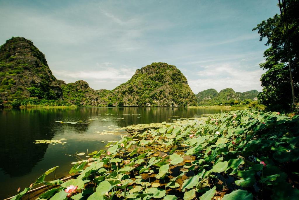 宁平Trang An Lotus Lake Homestay的相册照片