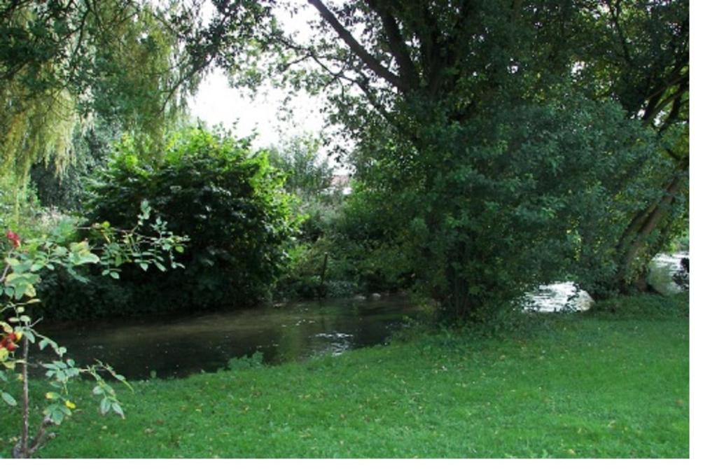 阿尔克拉巴泰勒阿奎斯希尔住宿加早餐酒店的树旁草场上的一个小池塘