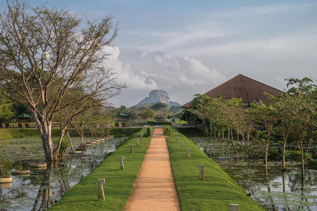 锡吉里亚Water Garden Sigiriya的山 ⁇ 花园中的一条小径