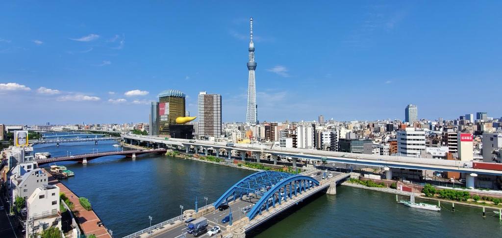 东京浅草驹形WING国际酒店 的城市里一座河流上的桥梁