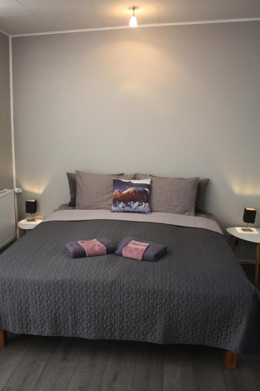 瓦玛里德Lækjarbakki 11的一间卧室配有一张带两个枕头的床