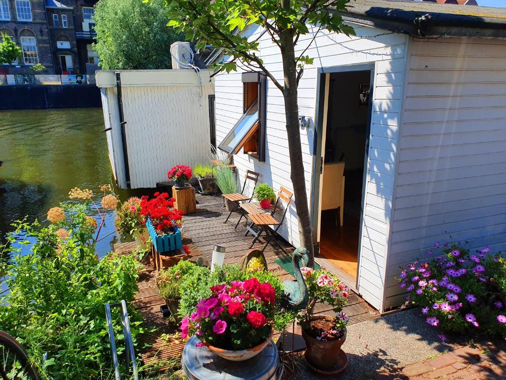 阿姆斯特丹Romantic quiet studio on the canal的相册照片