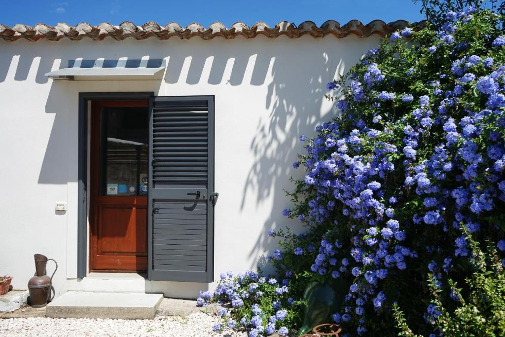 Sedilo卡特达住宿加早餐旅馆 的门前有蓝色花朵的房子