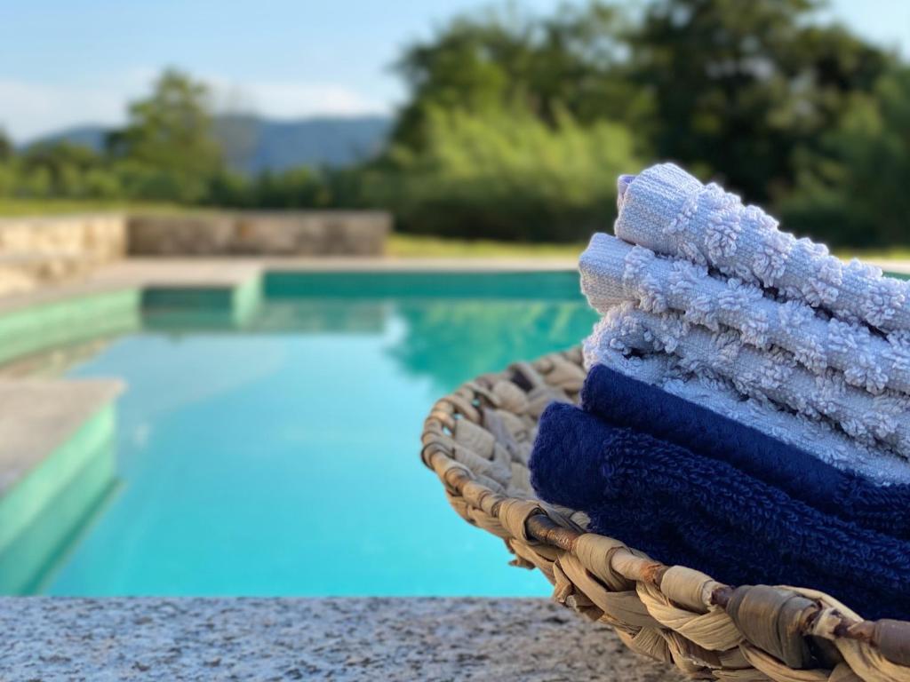 萨尔扎纳Le Village Sarzana的游泳池旁的毛巾篮