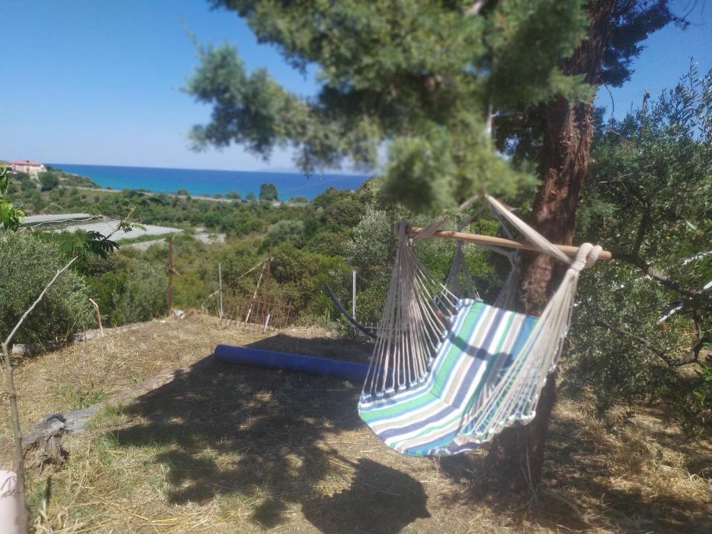 ElaiokhórionReal Holidays Antoniadou - Rustic House的吊床挂在树上,背靠大海