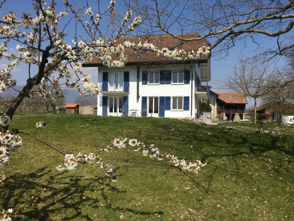 CommugnyB&B Domaine En Trembley的前面有一棵树的白色房子
