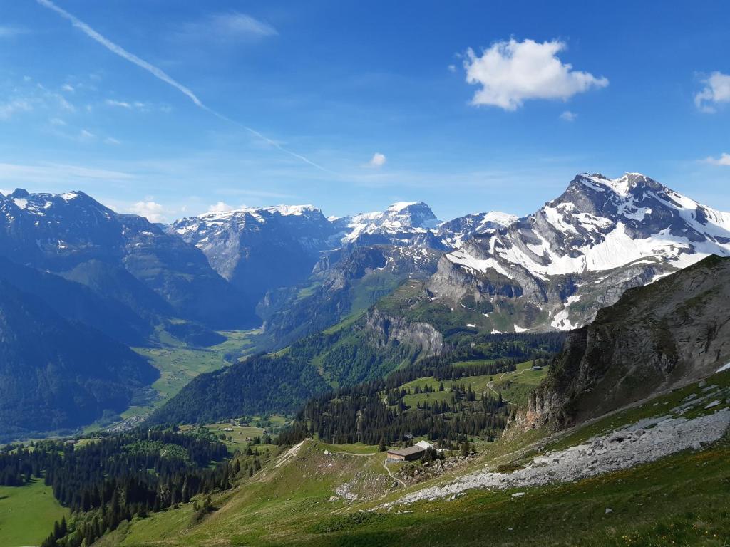 布劳瓦尔德Apartment 2,5 Zimmer im Ferienhaus Damian的享有山脉和白雪覆盖的山脉美景