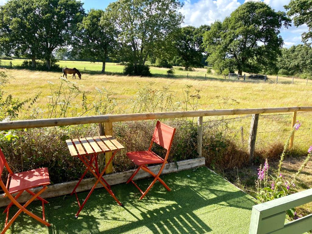 利明顿Holly Tree Cottage - 3 bedrooms and large garden with optional glamping double outside的田野里两把椅子和一张桌子,一匹马