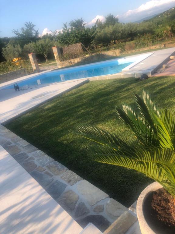 科佩尔Villa Santoma Hill的庭院中棕榈树的游泳池