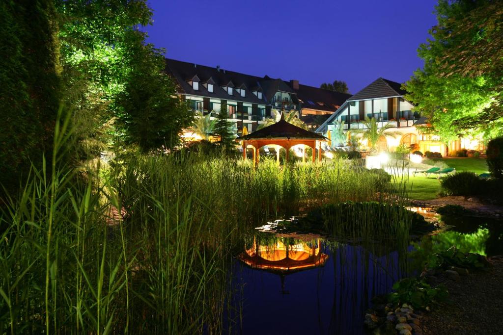 巴特拉德克斯堡Hotel im Park的夜间在院子里有池塘的酒店