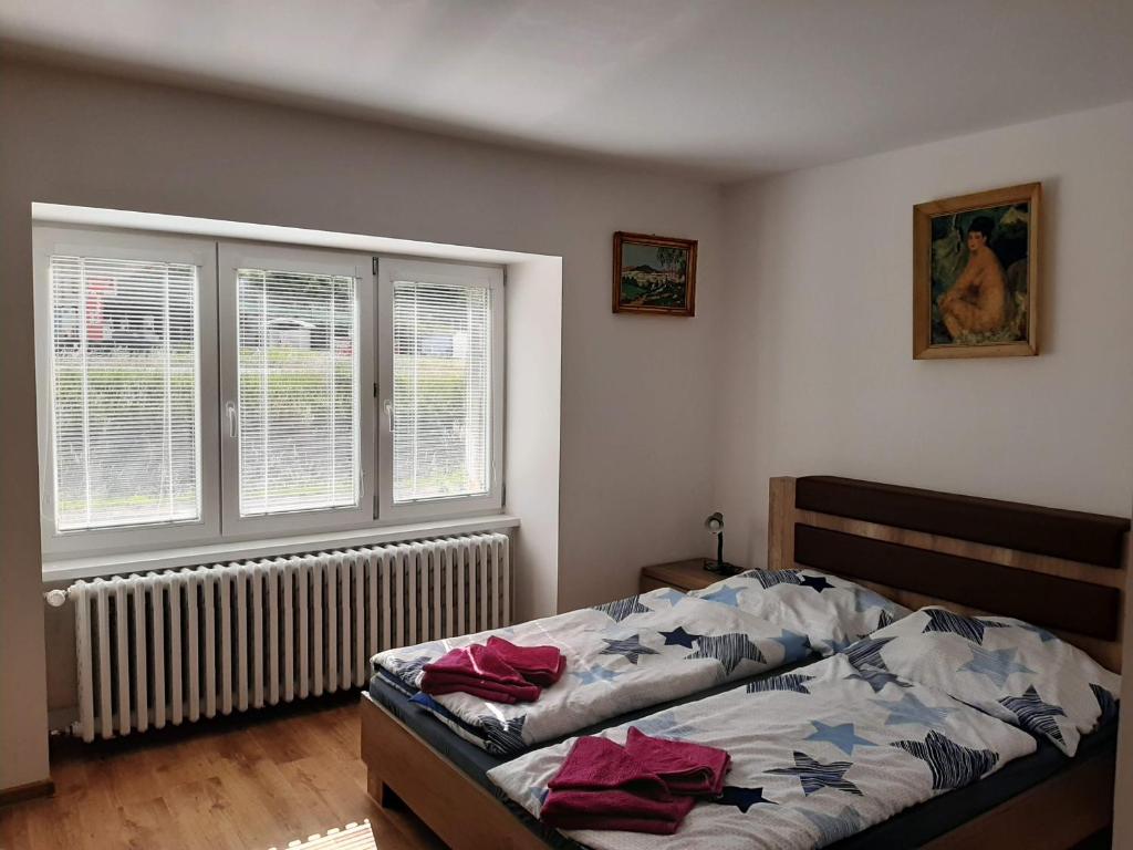 汉德洛瓦Ubytovanie Janka的一间卧室设有一张床和两个窗户。