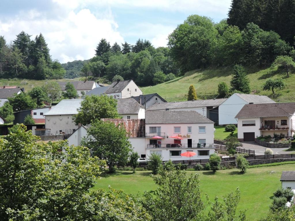 ÜbereisenbachSabine’s Gästehaus的一座拥有房屋和绿地的小城镇