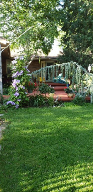 HarrisvilleAwesome Location, quiet area的一个带有植物和花卉的栅栏的院子