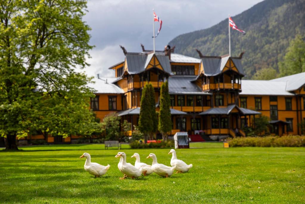 达伦达伦酒店的一群鸭子在一座建筑前面的草地上行走