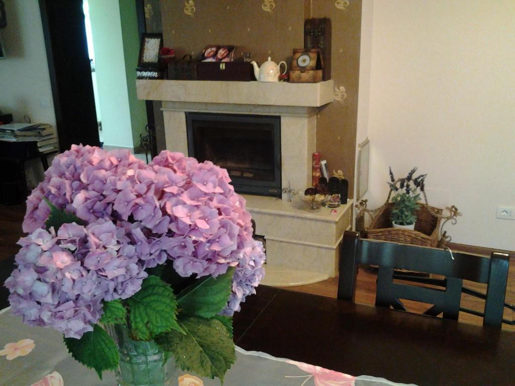 巴克乌Casa VIP的客厅桌子上的紫色花瓶