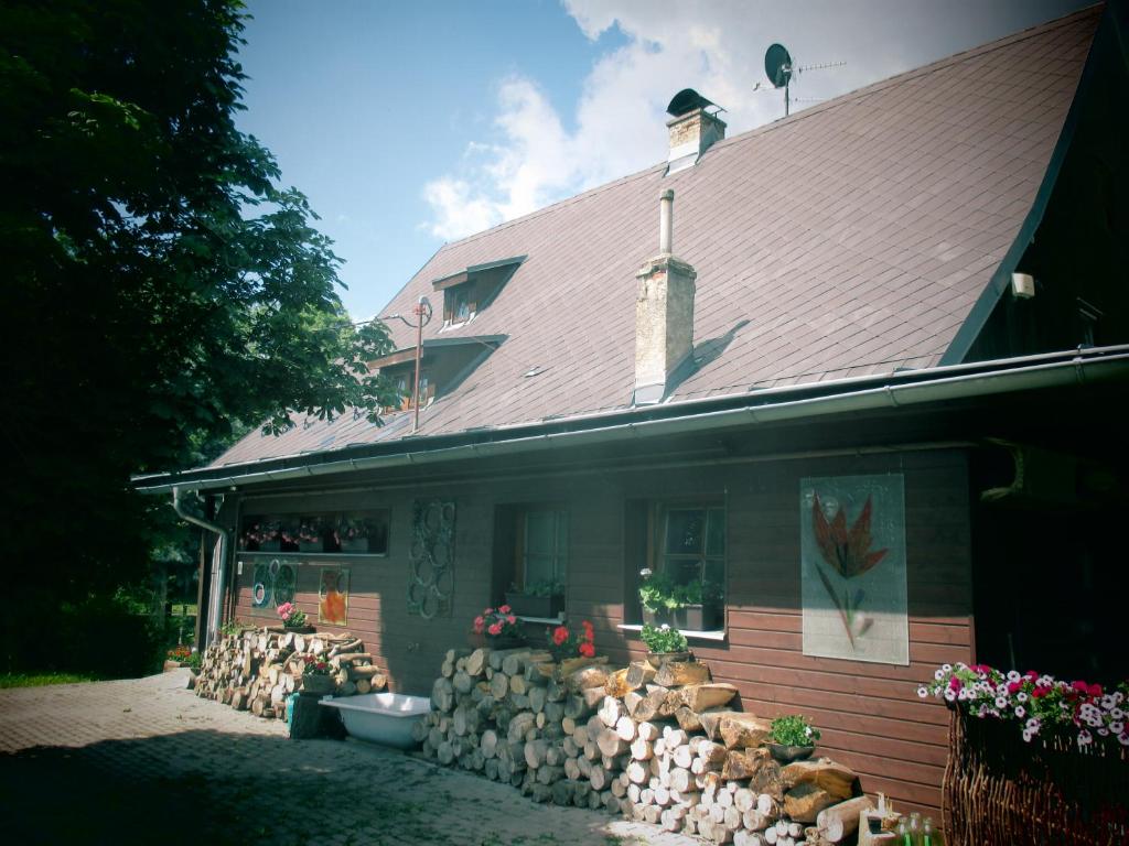 Dolní MoraviceChalupa u Matúšů Jeseníky的旁边一堆木头的房子