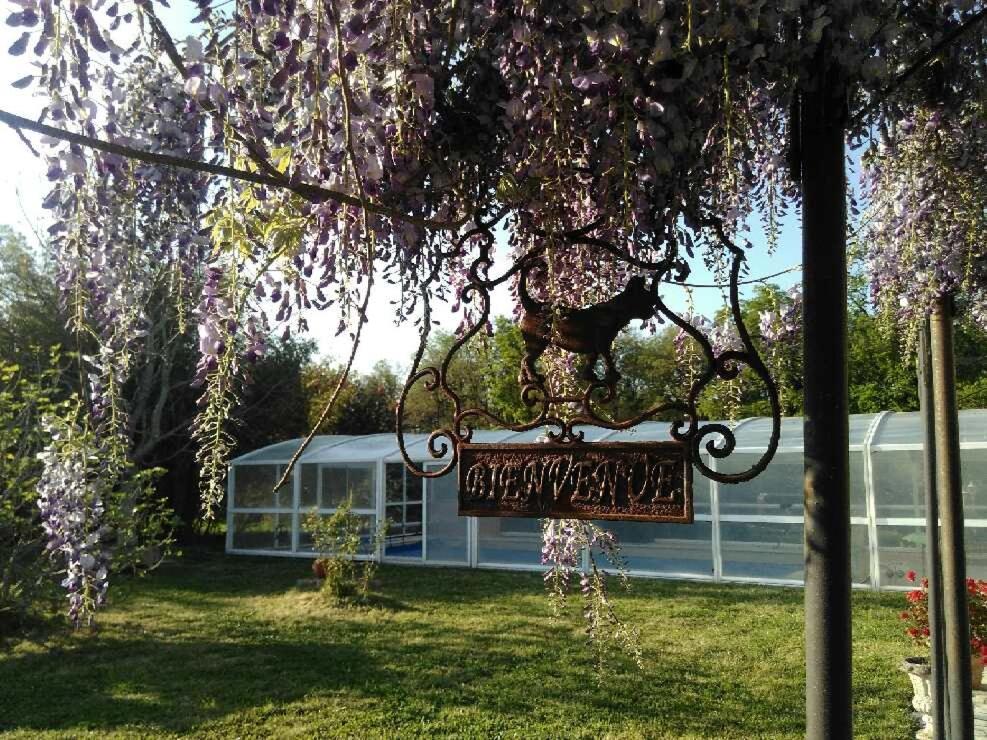 谢尔河畔阿瑟La Ferme du Bien Etre的挂在紫色花朵树上的标志