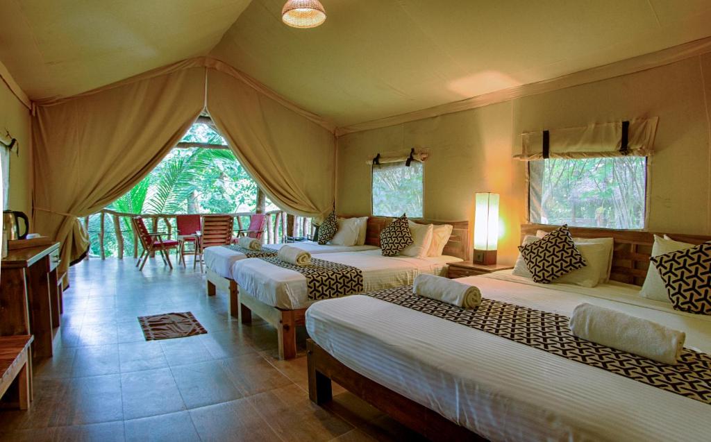 达瓦拉维阿瑟基拉河营地酒店 - 乌达瓦罗的帐篷内带四张床的房间