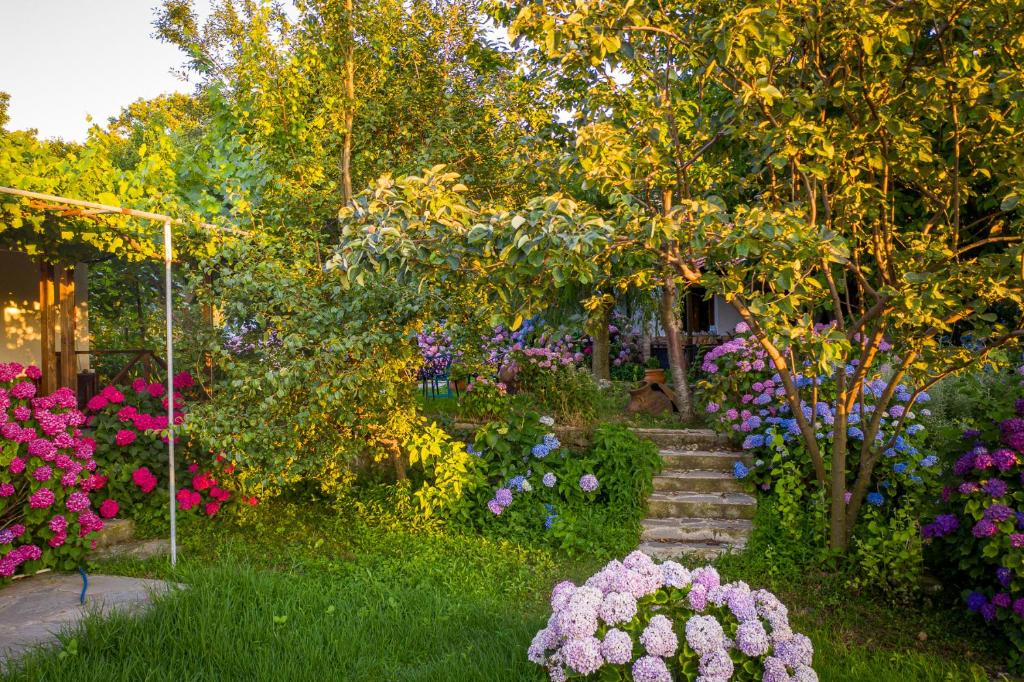 塞尔马Alekas Studios的一座种满五彩花的花园