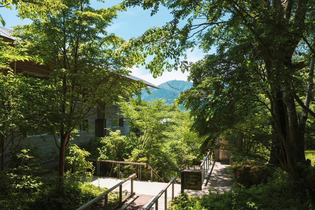 箱根Hakone Retreat Före的一条穿过树木的小路,山底下