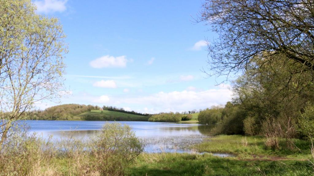 莫纳汉Emy Lake Studio的享有一侧树木的河流美景