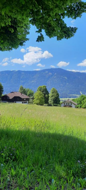 NötschFerienwohnungen Schloss Wasserleonburg的一片绿草丛,有房子在后面