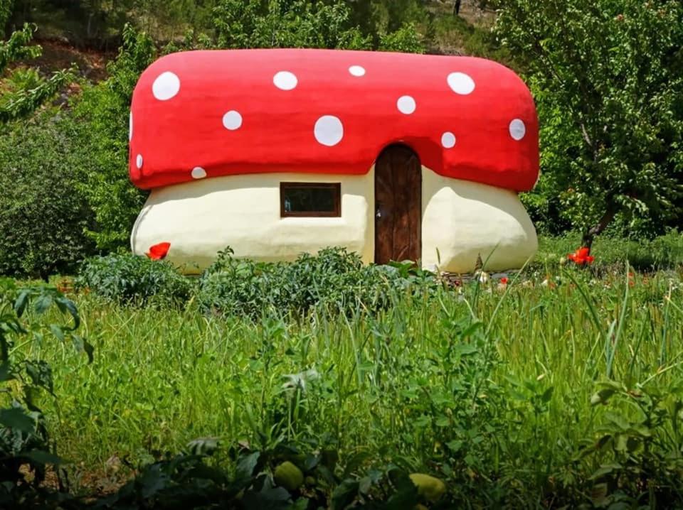 RupeKrka Fairytale village的草上有一扇门的小蘑菇屋
