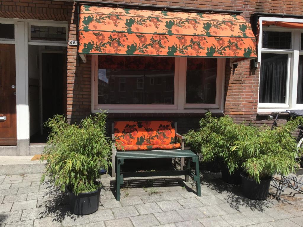 鹿特丹义曼哥尼住宿加早餐旅馆的植物建筑前的长凳