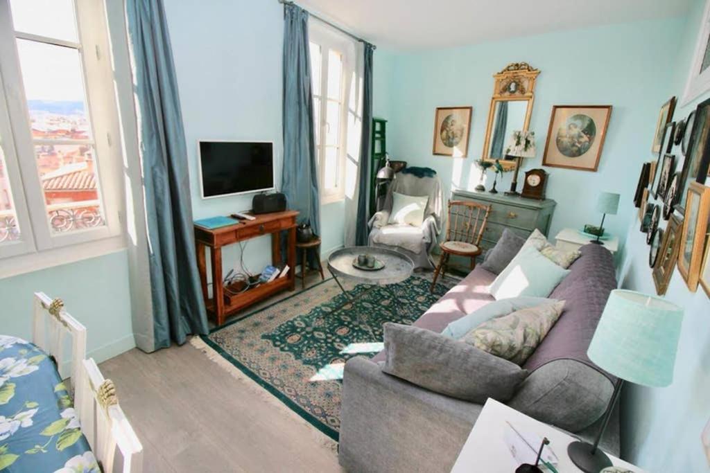 尼斯CHARMANT HOME - Mariesol的带沙发和电视的客厅