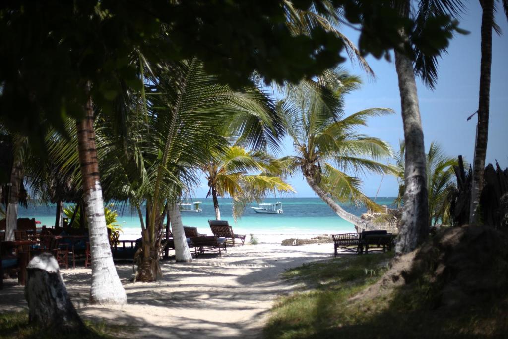 迪亚尼海滩Coconut Village Beach Resort的海滩上长着长椅和棕榈树,还有大海