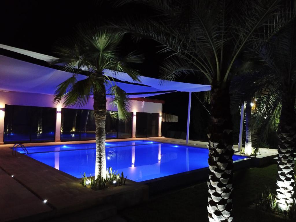 拉斯阿尔卡麦The Hide的一座拥有两棵棕榈树的夜间游泳池
