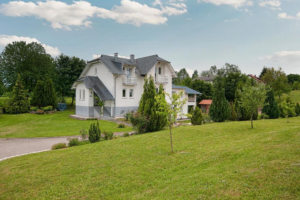 ČatrnjaStudio apartments Kaya的一座大白色的草山上房子