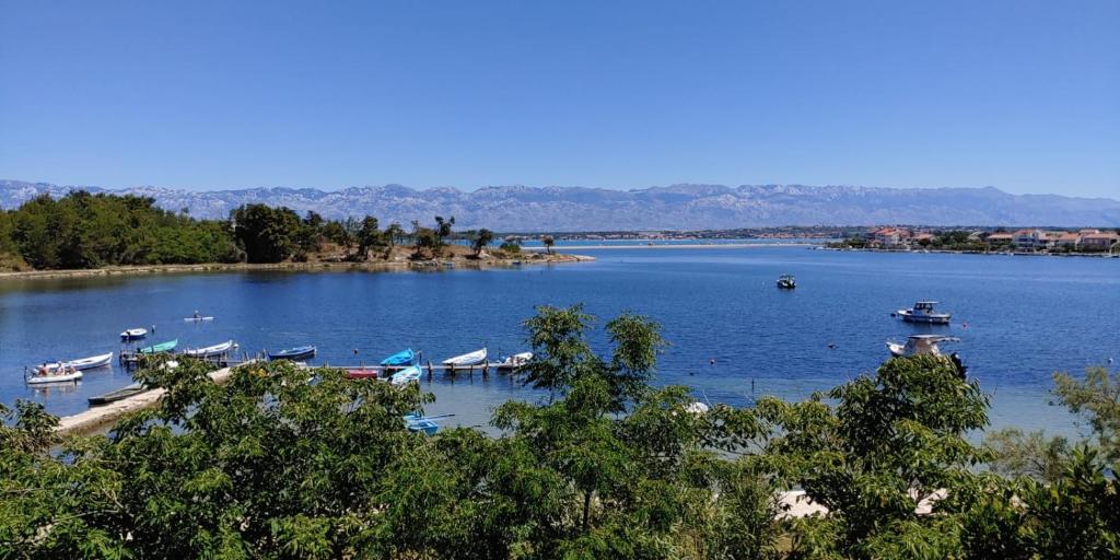 宁Seaview Holiday Apartments, Ventura Nin的一群船在一大片水中