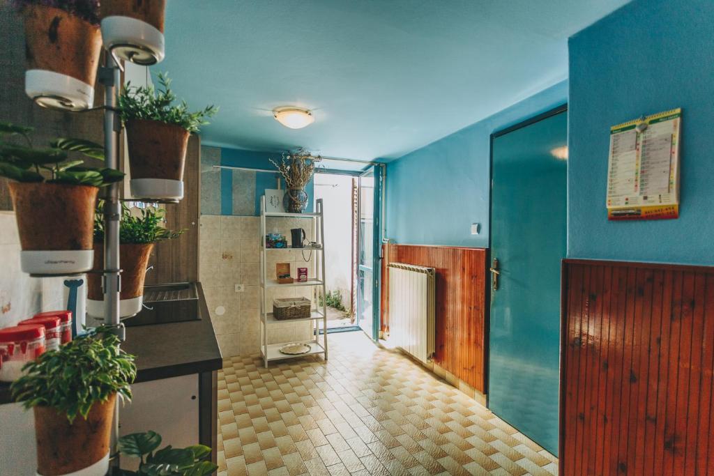 科佩尔House365的厨房拥有蓝色的墙壁和盆栽植物