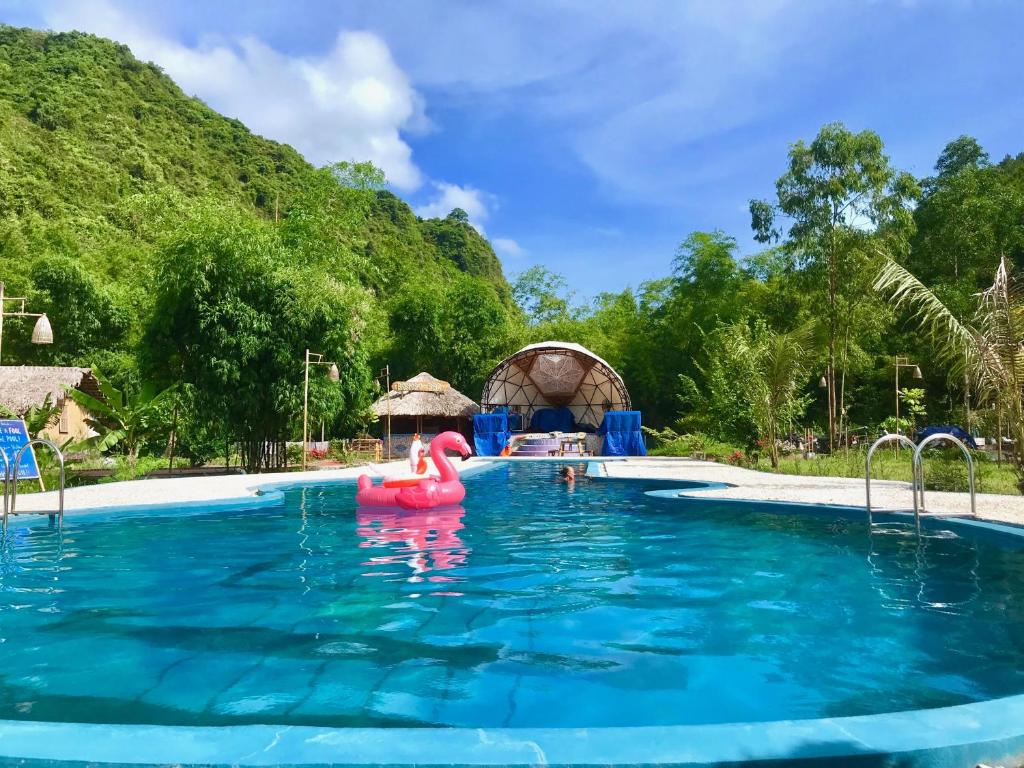 吉婆岛Woodstock Jungle Camp的水中粉红色浮游的度假村游泳池