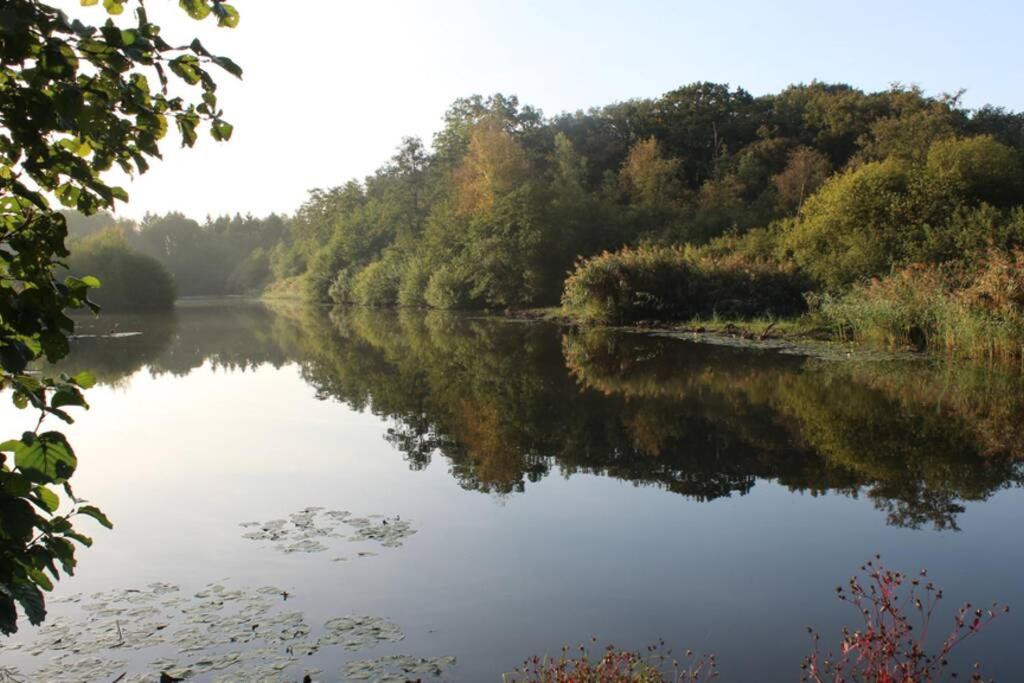 卡斯特尔莱AmberHuis的享有树木背景的河流美景