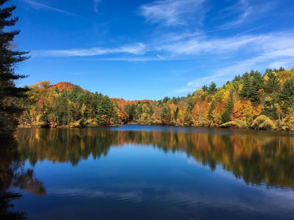 基灵顿Mountain Meadows Lodge的秋天的湖景