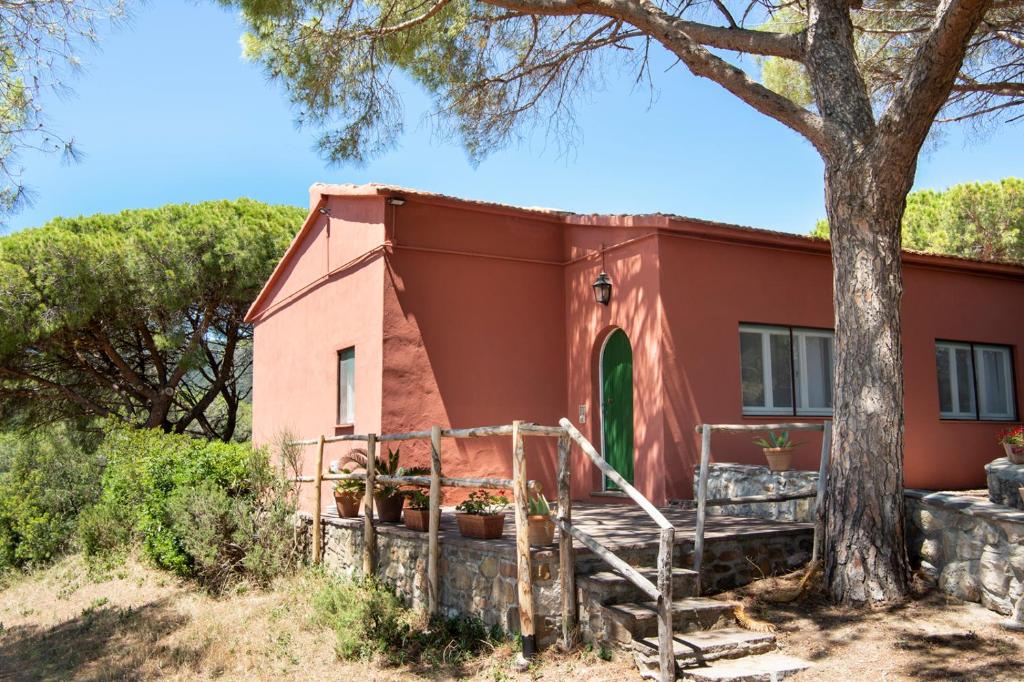 罗切特Tenuta Le Rocchette的前面有一棵树的红色小房子