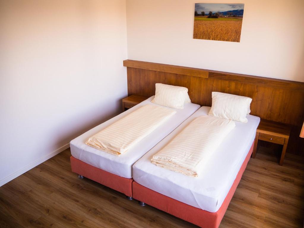 卢斯特瑙美恩德宾馆的双床间,铺有木地板