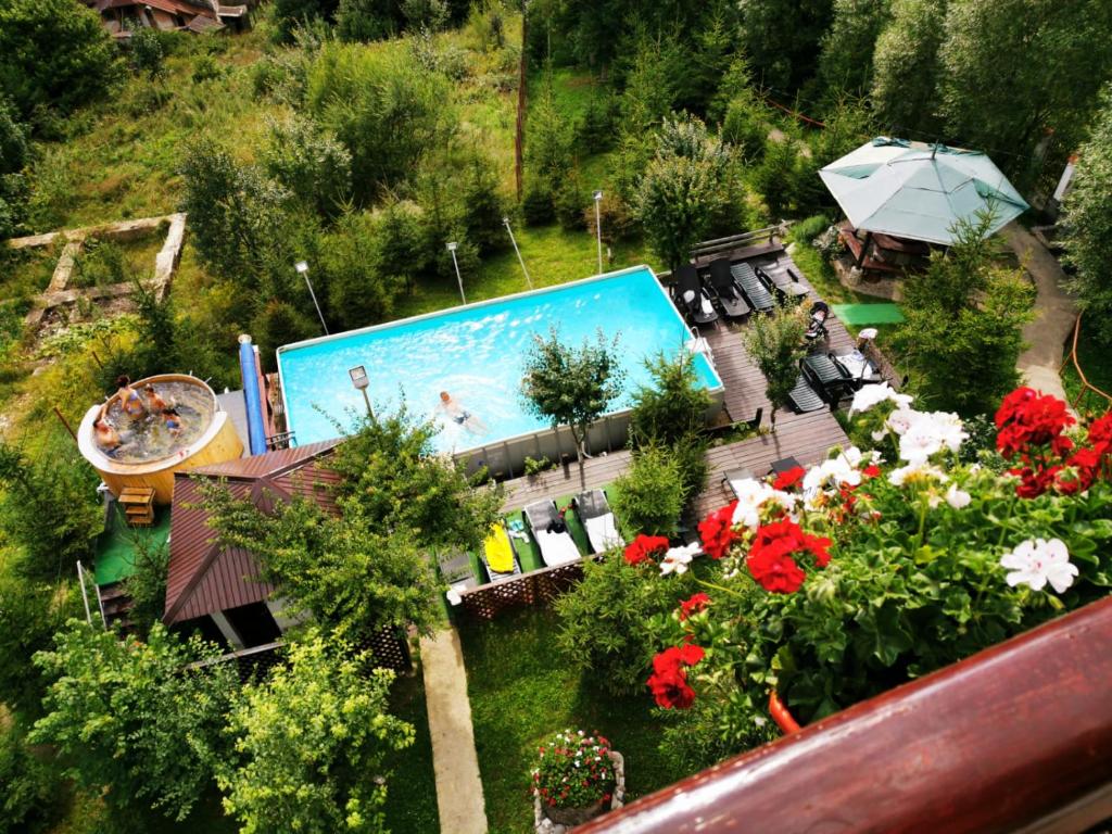 布什泰尼维拉阿鲁尼斯酒店的享有游泳池和鲜花的空中景致